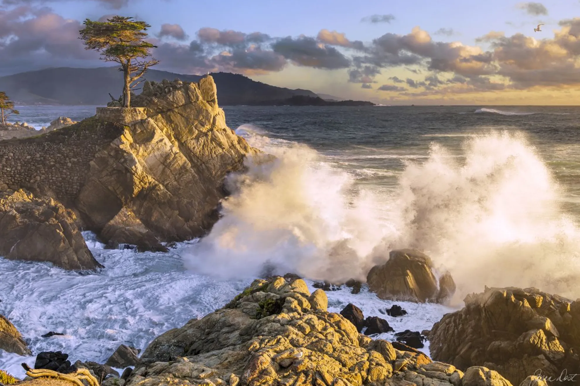 Sunset Symphony By Joann Dost -Metal Print