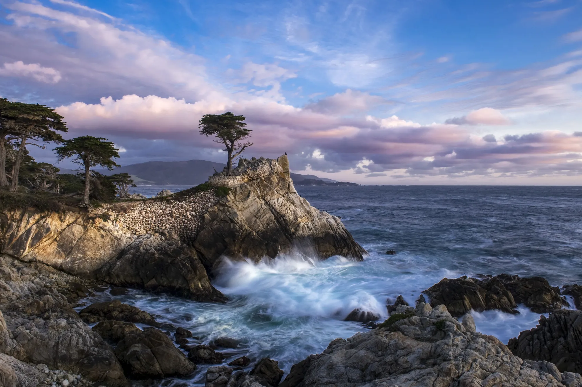 Lone Cypress Evening By Bart Keagy