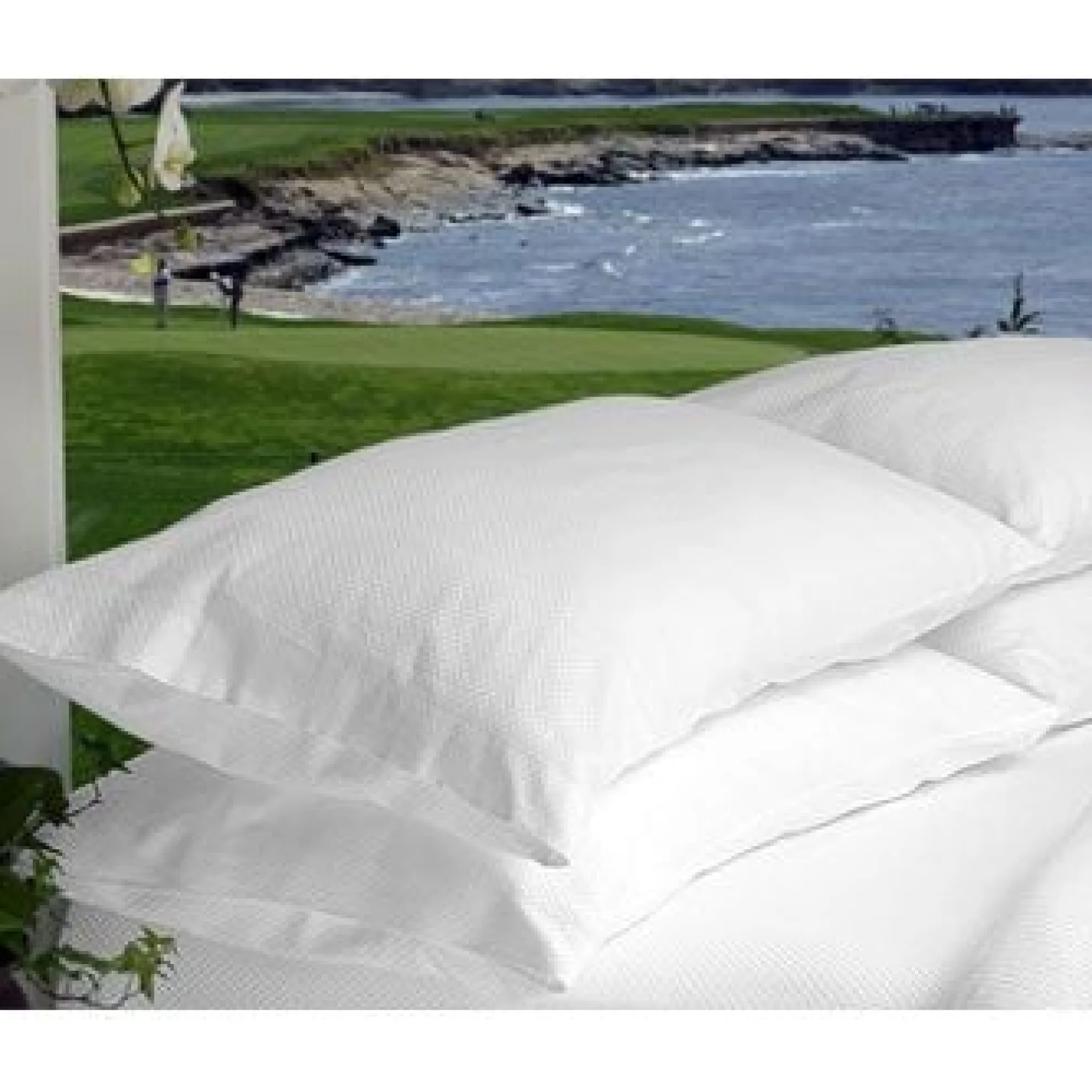 Pebble Beach Resorts 100% Egyptian Cotton Micro-Check Pillow Cases - Two Case Set